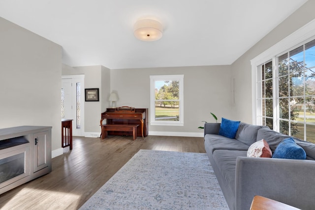 living room featuring dark hardwood / wood-style flooring