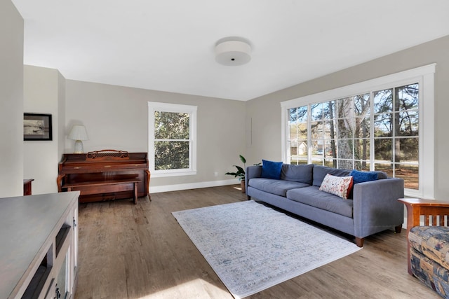 living room with plenty of natural light and wood-type flooring