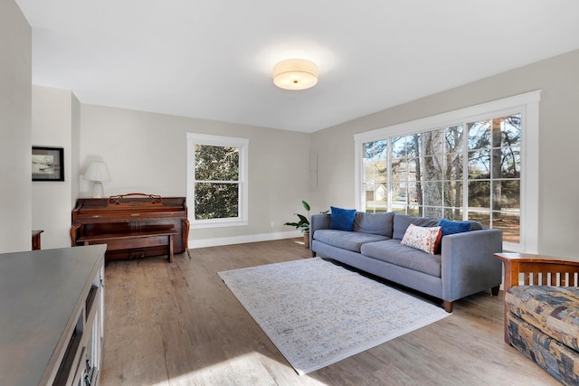 living room featuring a healthy amount of sunlight and light hardwood / wood-style floors