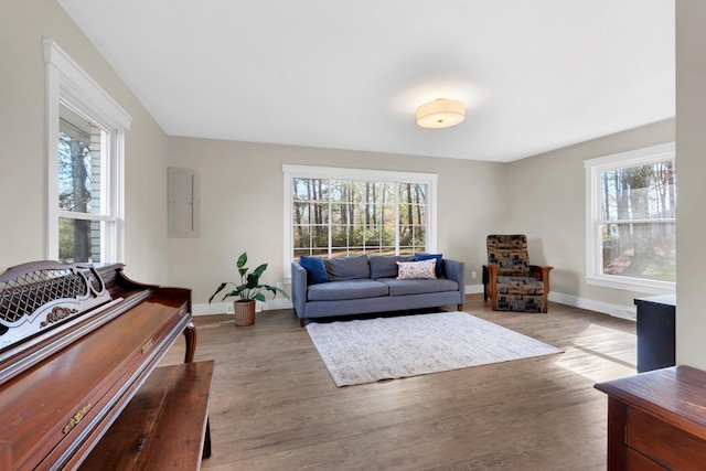 living room featuring electric panel, a wealth of natural light, and light hardwood / wood-style floors