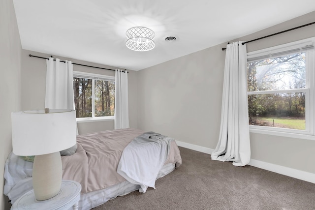 bedroom featuring carpet floors and multiple windows