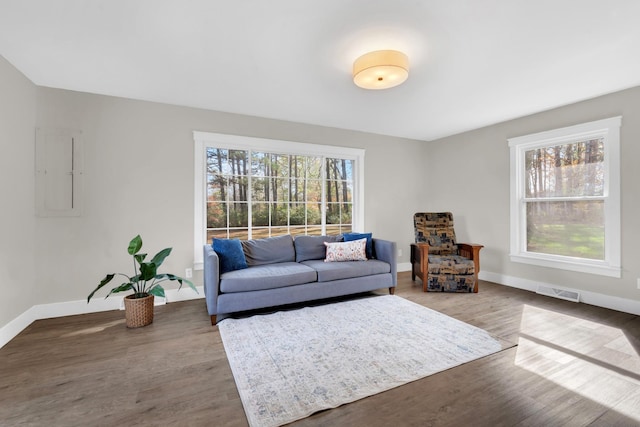 living room with wood-type flooring, electric panel, and a wealth of natural light