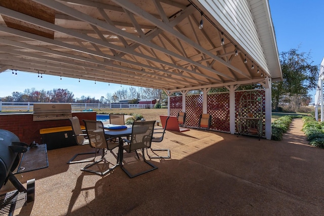 view of patio / terrace with area for grilling