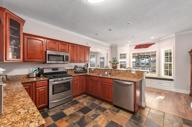 kitchen with kitchen peninsula, stainless steel appliances, a wealth of natural light, and sink