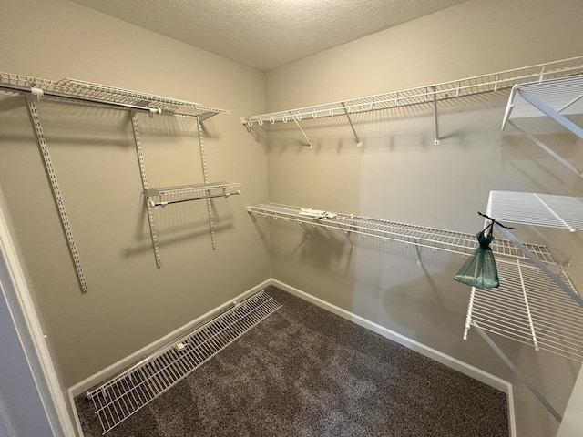 walk in closet with carpet