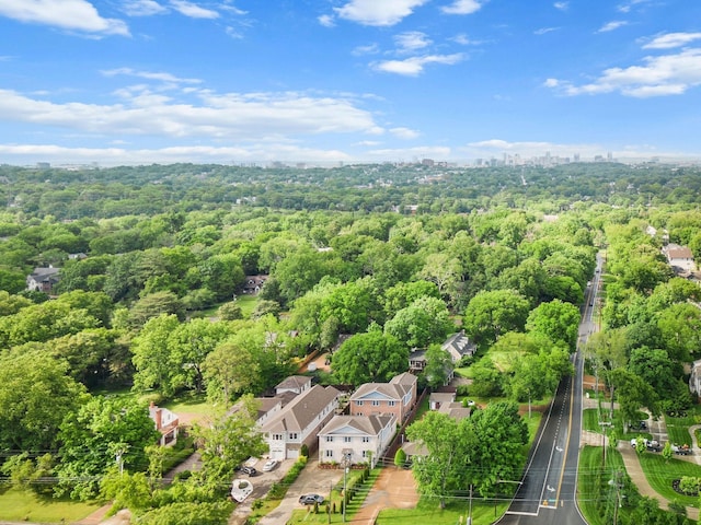 bird's eye view