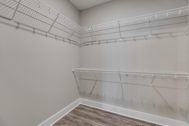 walk in closet featuring hardwood / wood-style floors