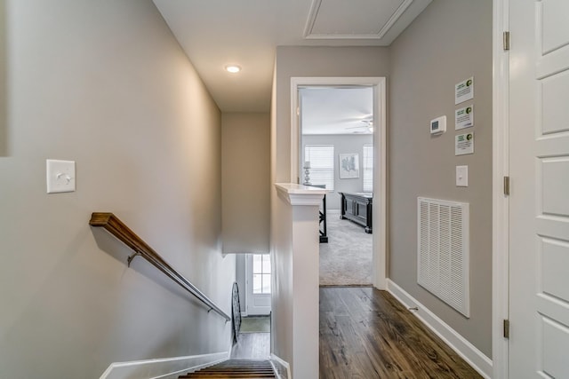 hall with dark hardwood / wood-style flooring