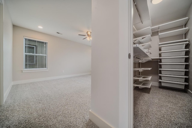 walk in closet featuring carpet and ceiling fan