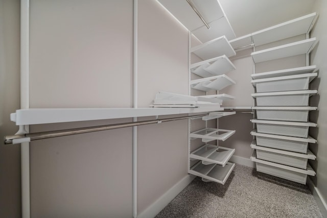 spacious closet featuring carpet floors