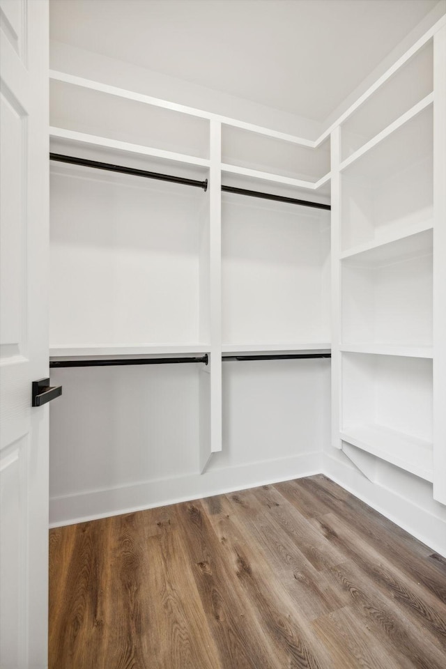 walk in closet featuring hardwood / wood-style flooring