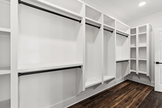 spacious closet featuring dark hardwood / wood-style floors