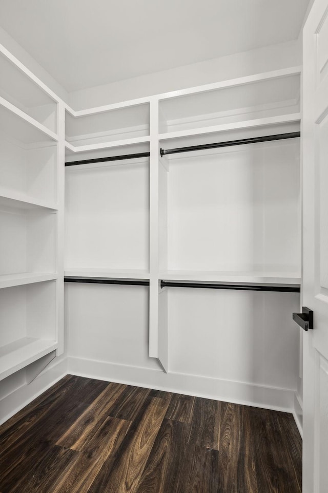 walk in closet with dark hardwood / wood-style flooring