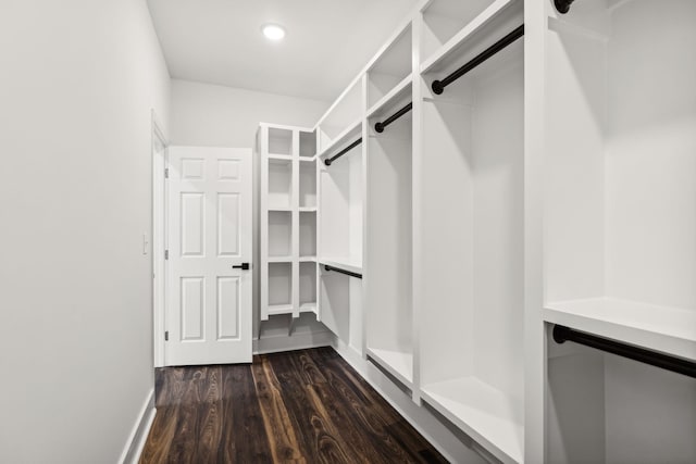 walk in closet with dark hardwood / wood-style floors