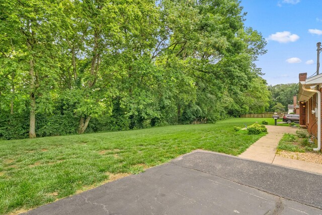 230 Crossbow Ct, Hopkinsville, KY 42240 - photo 27