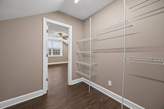 spacious closet with ceiling fan, lofted ceiling, and dark wood-type flooring