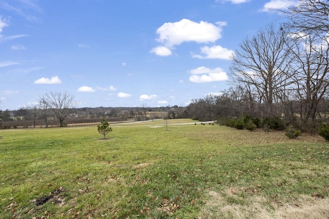 view of yard featuring a rural view