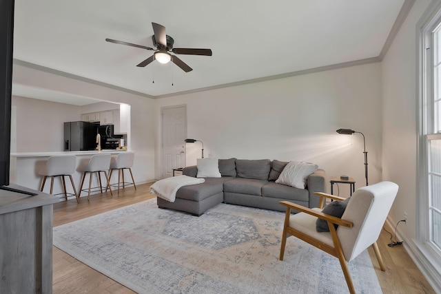 living room with light hardwood / wood-style flooring, ceiling fan, and crown molding