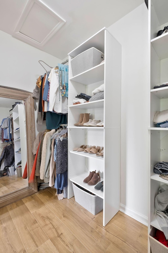 spacious closet featuring light hardwood / wood-style floors