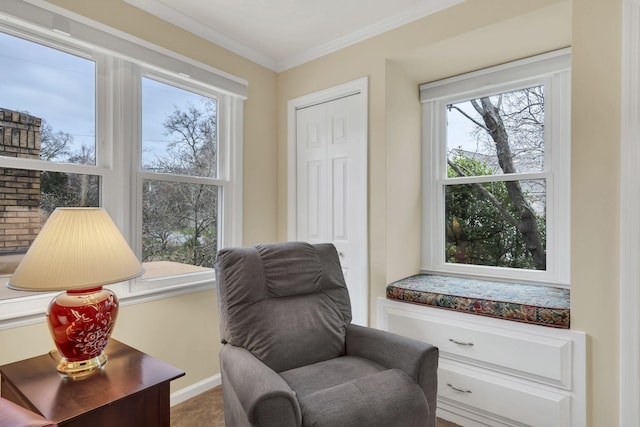 sitting room featuring crown molding