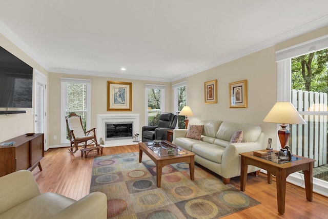 living room featuring crown molding, a healthy amount of sunlight, and light wood-type flooring