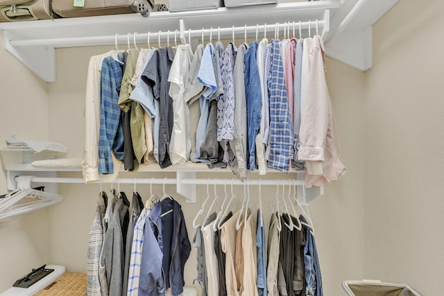 view of spacious closet