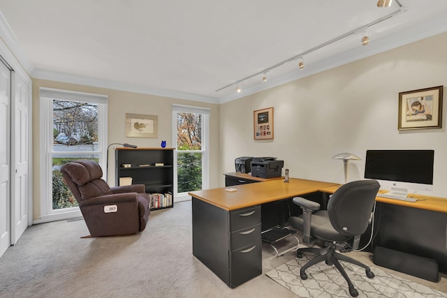 carpeted home office with crown molding and track lighting