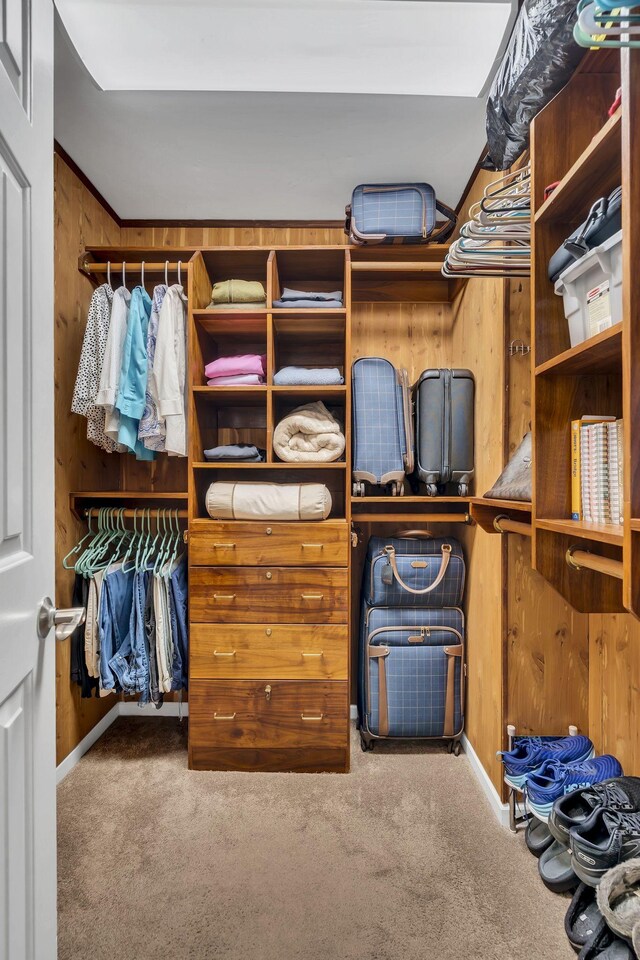 spacious closet featuring carpet