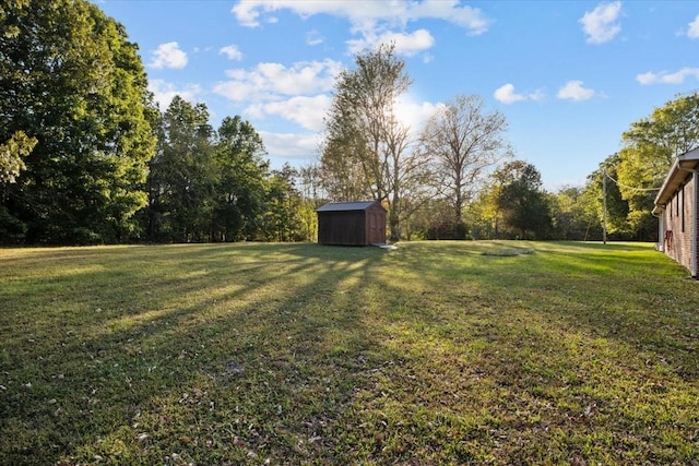 view of yard with a shed