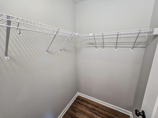 walk in closet with dark hardwood / wood-style floors