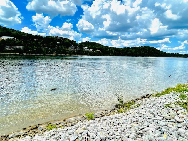 88 River Front Dr S, Clifton, TN 38425