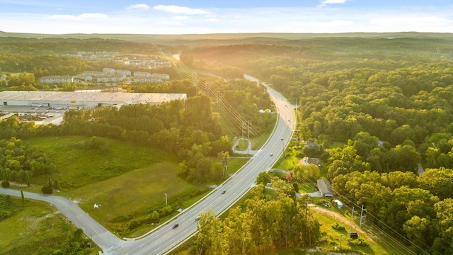 aerial view