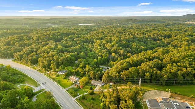 bird's eye view