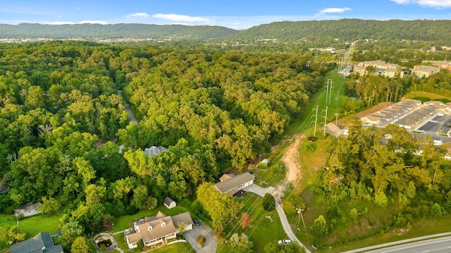 drone / aerial view with a mountain view