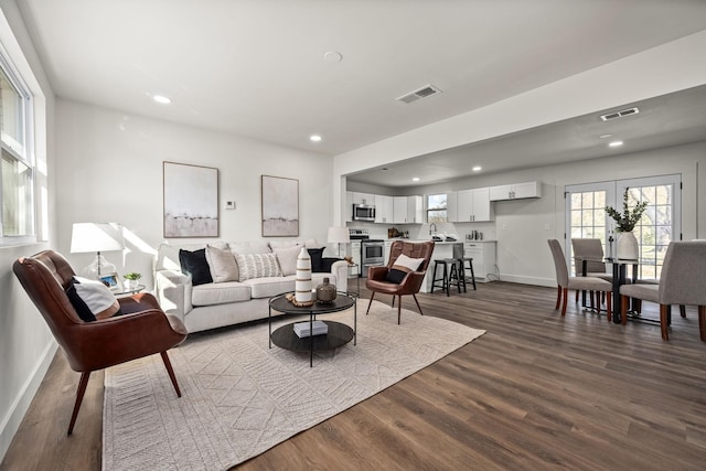 living room with dark hardwood / wood-style floors and sink