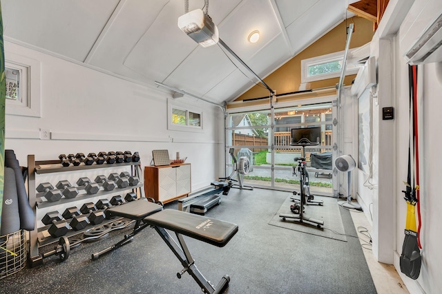 workout area featuring a wealth of natural light and lofted ceiling