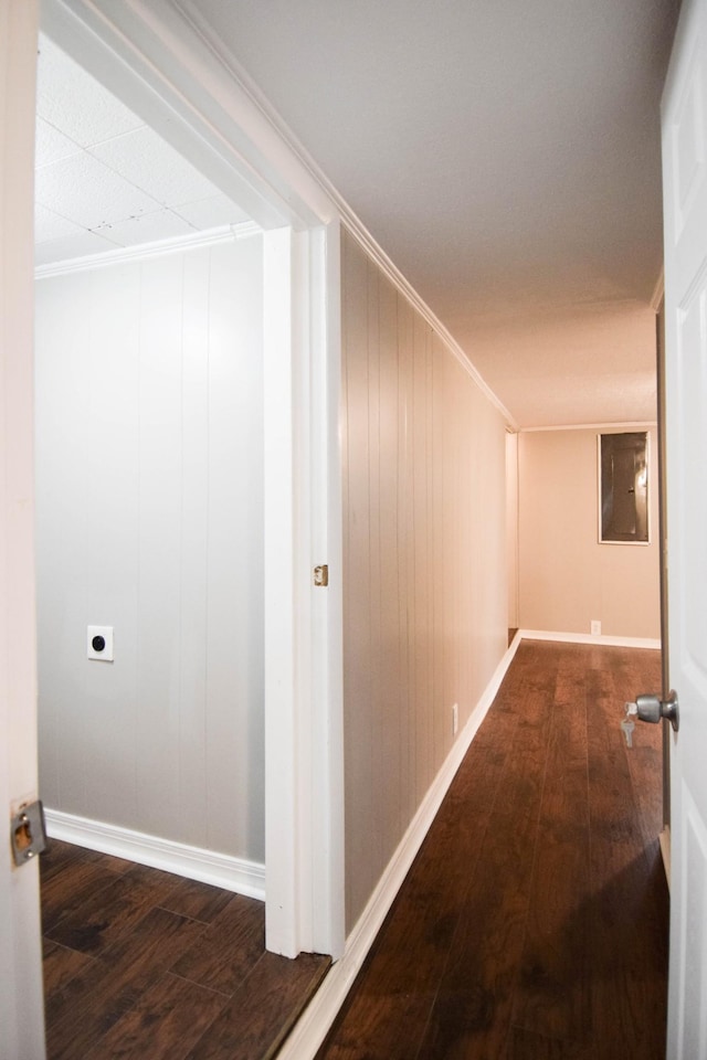 hall featuring wooden walls, dark wood-type flooring, and ornamental molding