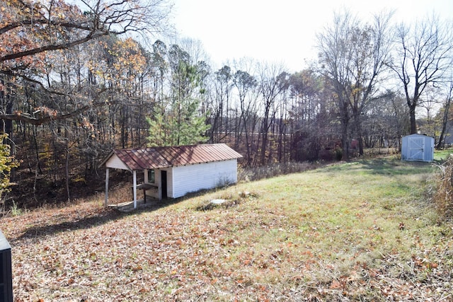 view of yard featuring a storage unit