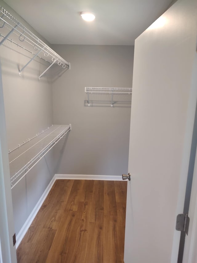 spacious closet featuring wood-type flooring