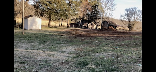 view of yard with a shed