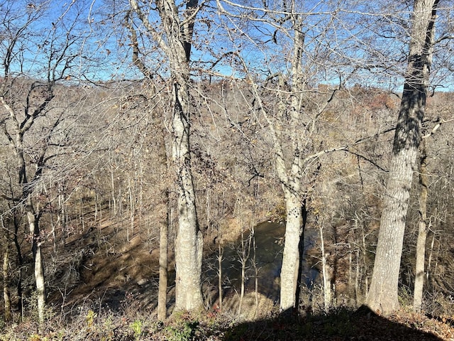 view of local wilderness