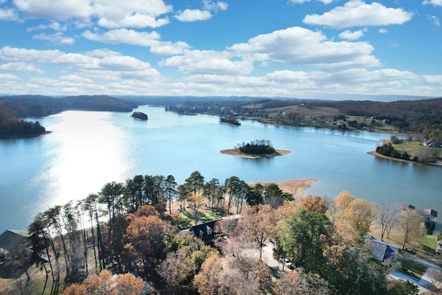 view of water feature