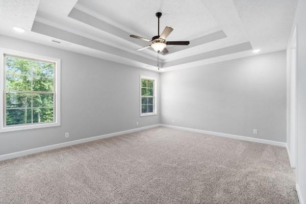 carpeted empty room with a tray ceiling, a wealth of natural light, and ceiling fan