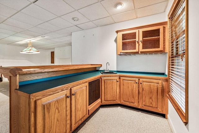 kitchen featuring light carpet, sink, and a drop ceiling