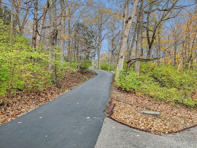 view of road