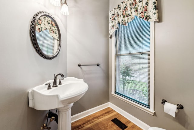 bathroom featuring wood-type flooring