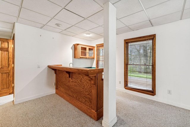 bar featuring light carpet and a paneled ceiling