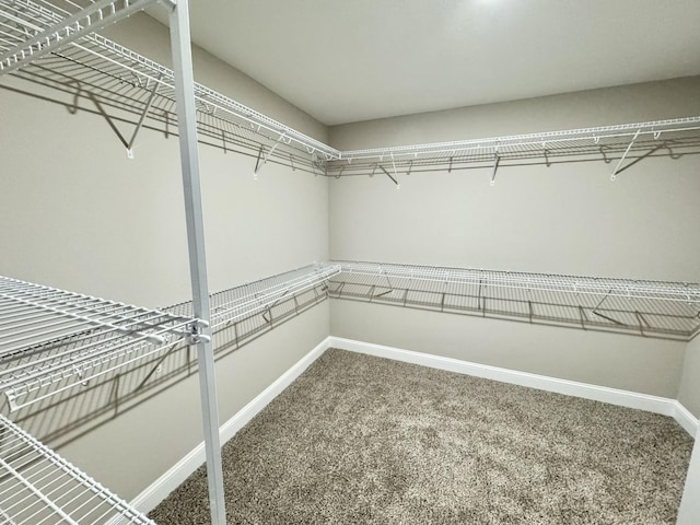 spacious closet with carpet floors