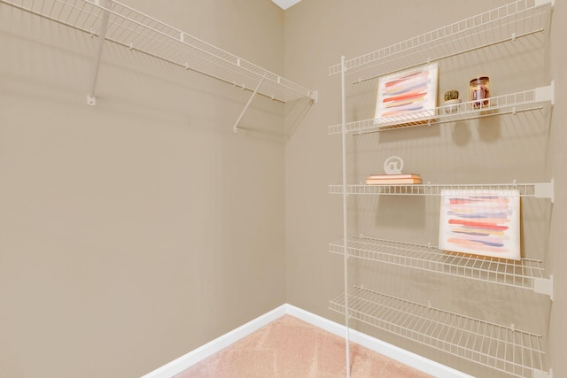 spacious closet with carpet