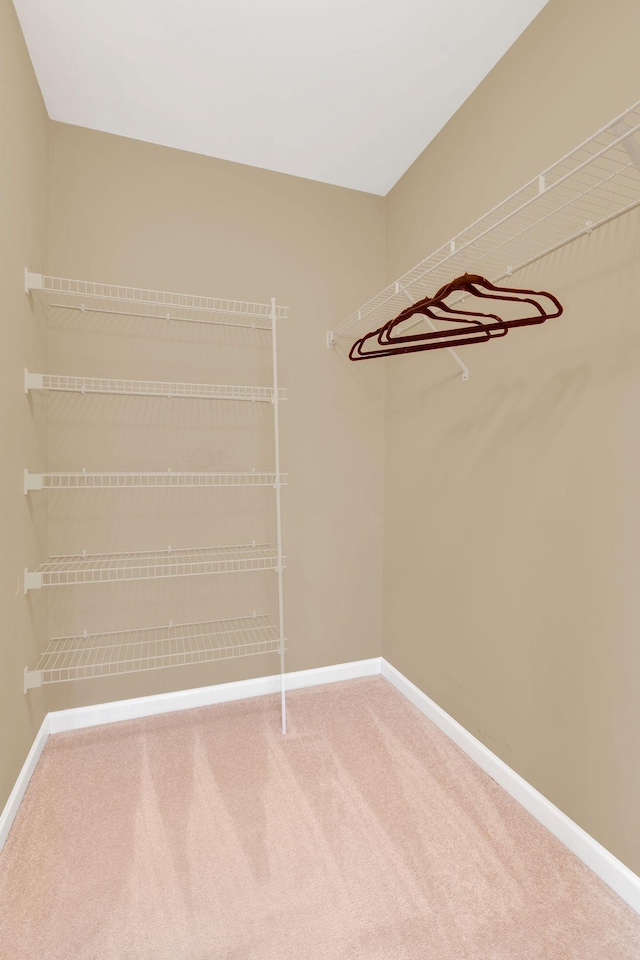 spacious closet with carpet flooring